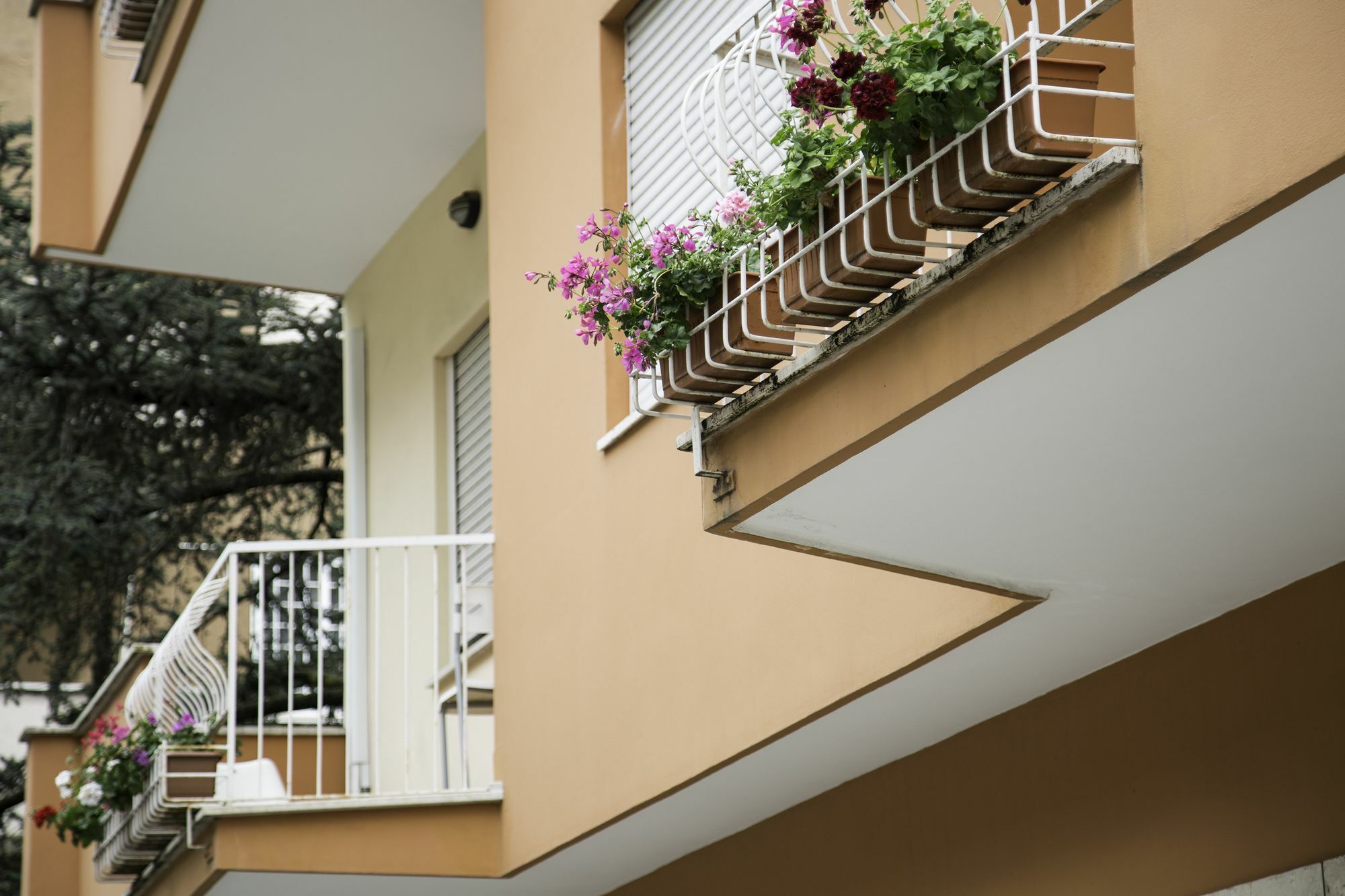 Roma Talenti Breme B&B Kültér fotó